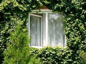 what is a casement window